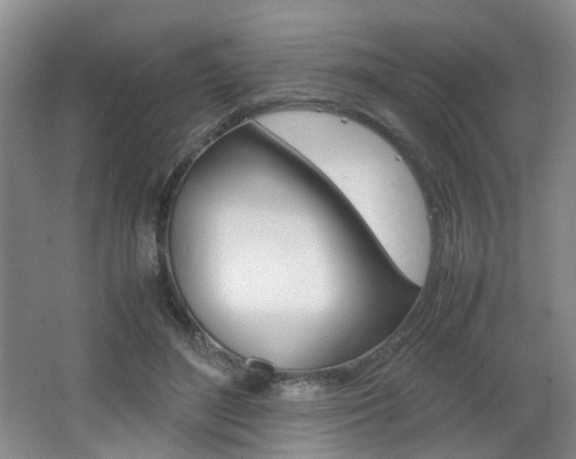 X0000062130500200512090954