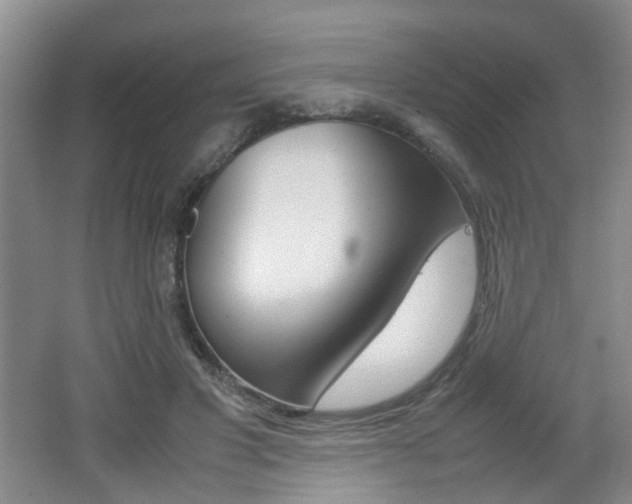 X0000062130501200512090954