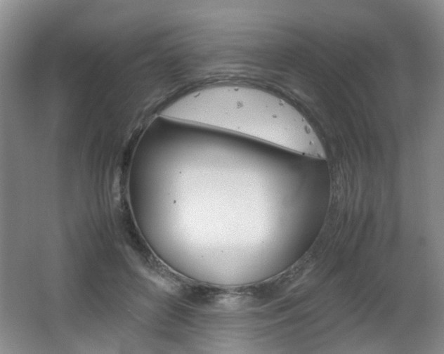 X0000062130504200512090954