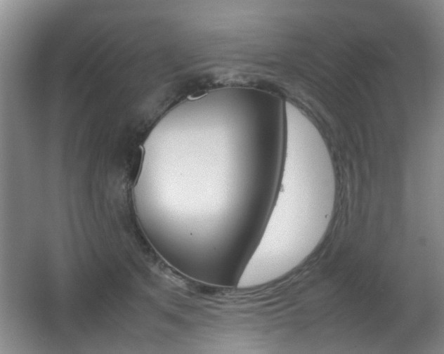 X0000062130513200512090954
