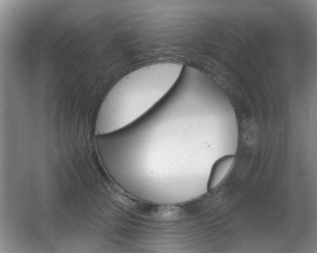 X0000062130514200512090954