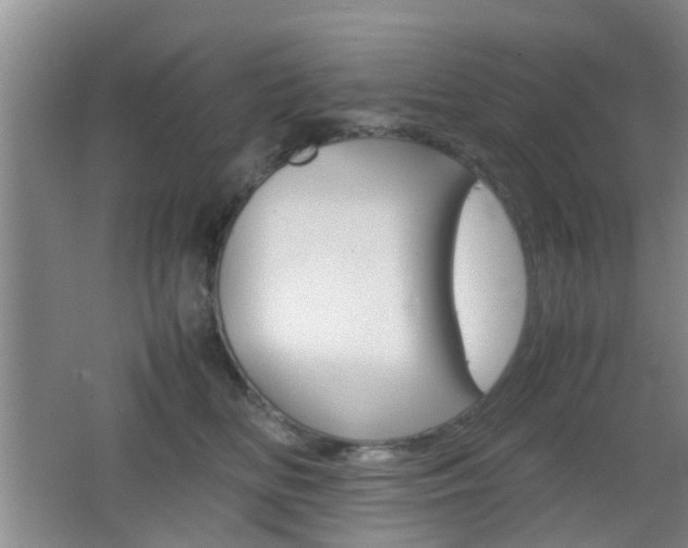 X0000062130518200512090954