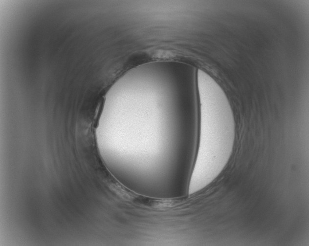 X0000062130521200512090954