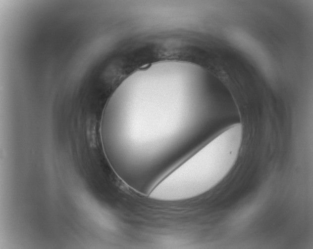 X0000062130525200512090954