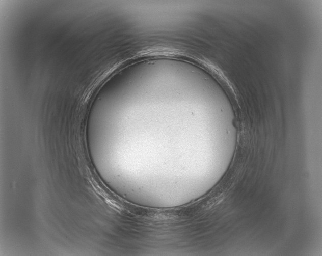 X0000062130529200512090953