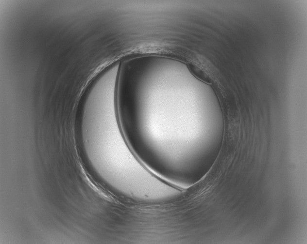 X0000062130530200512090953