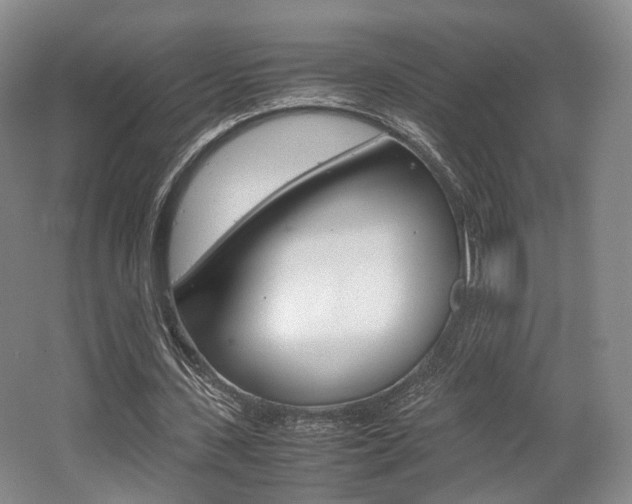 X0000062130531200512090953