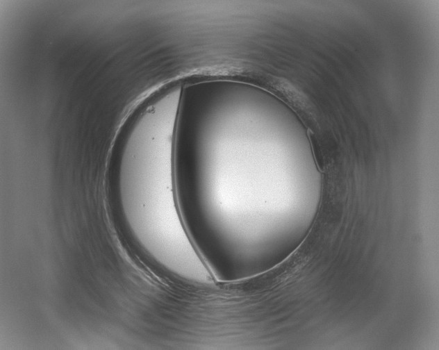 X0000062130536200512090953