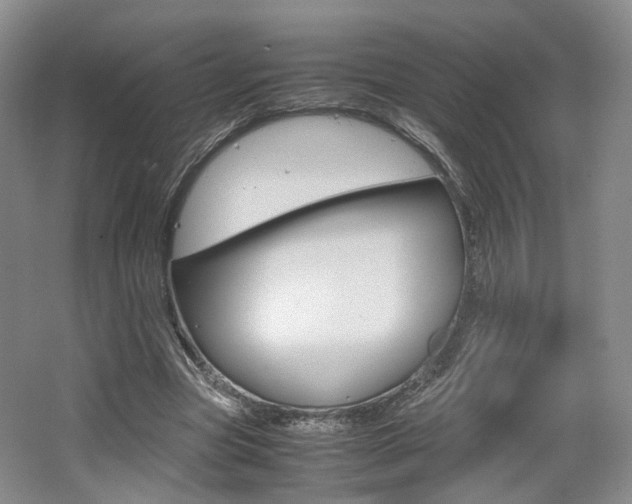 X0000062130537200512090953
