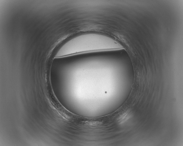 X0000062130539200512090953
