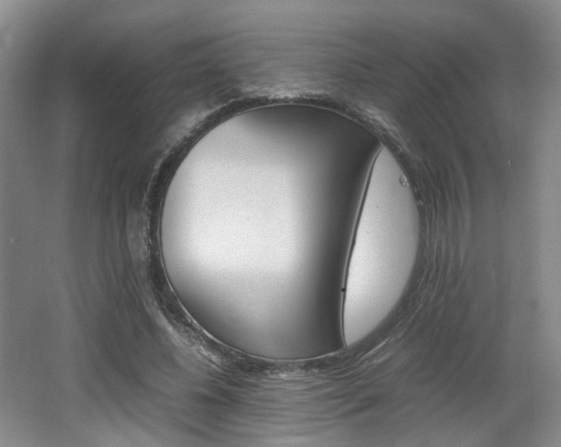X0000062130540200512090953