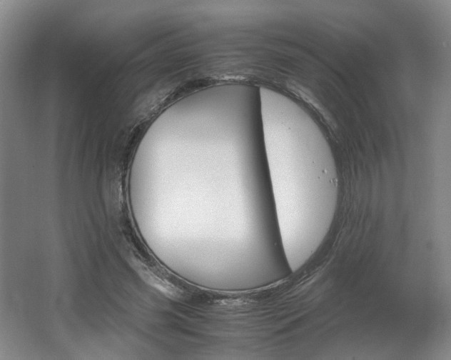 X0000062130541200512090953