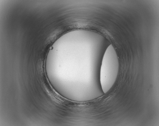 X0000062130542200512090953
