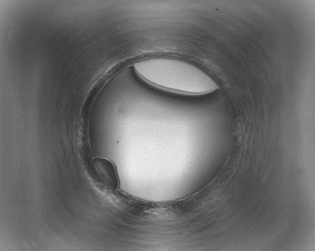 X0000062130544200512090953