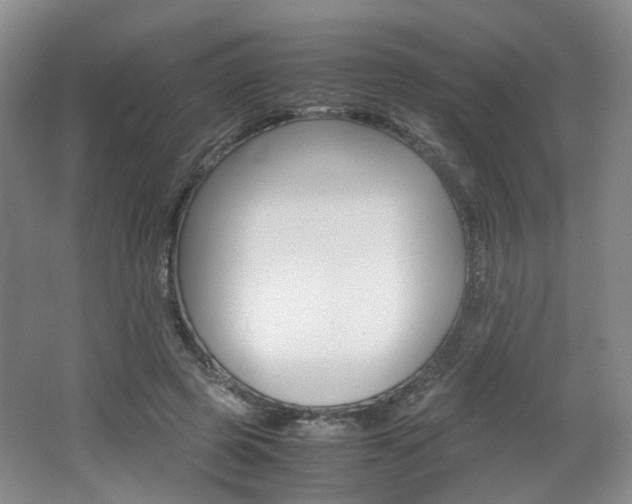 X0000062130545200512090953