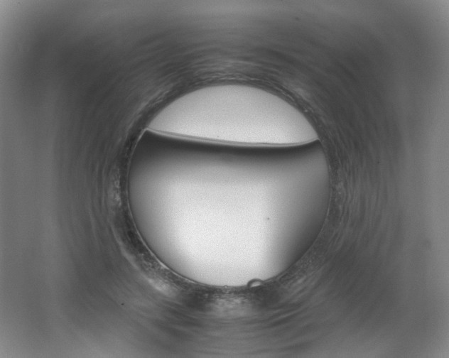 X0000062130547200512090953