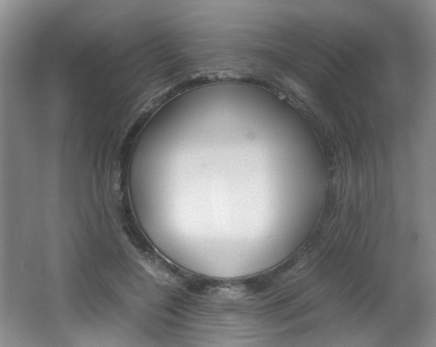 X0000062130548200512090953