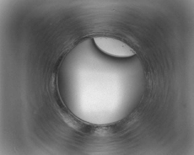 X0000062130550200512090953