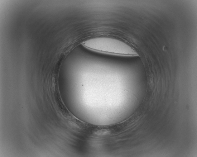 X0000062130551200512090953