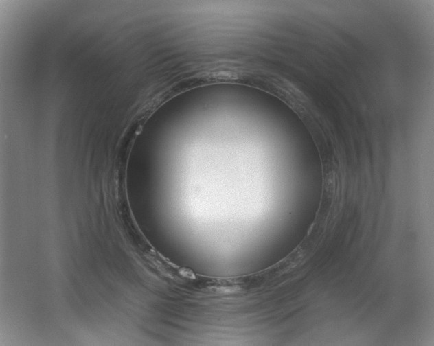 X0000062130552200512090953