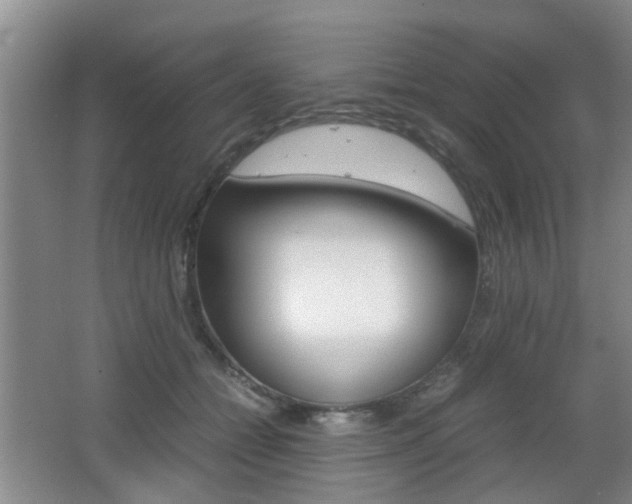 X0000062130558200512090953