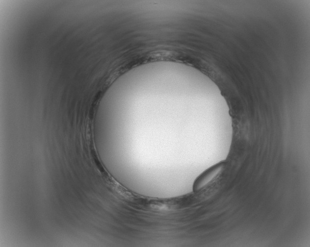 X0000062130561200512090954