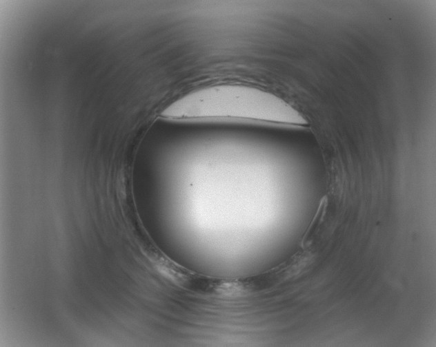 X0000062130562200512090954