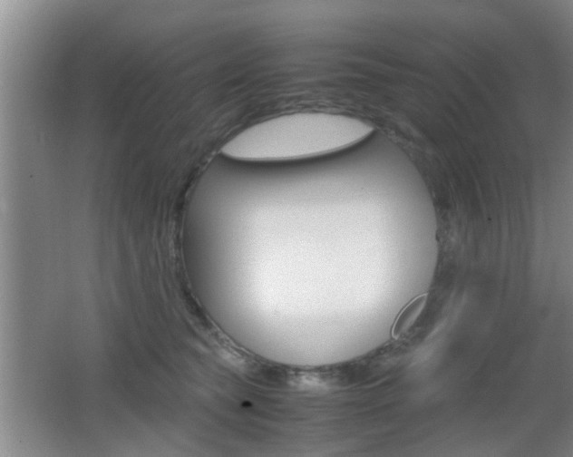 X0000062130565200512090954