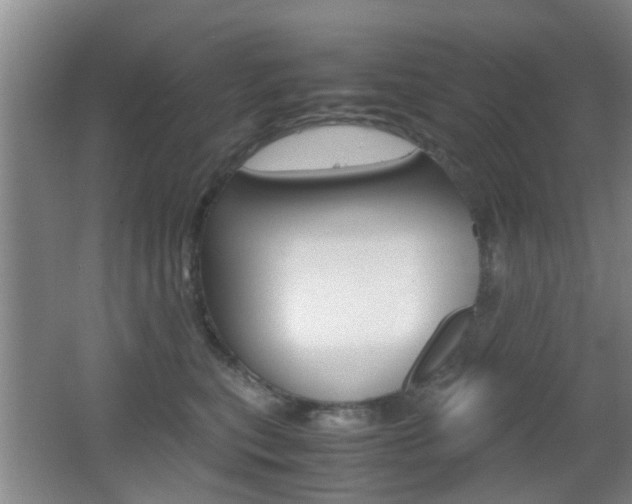 X0000062130567200512090954