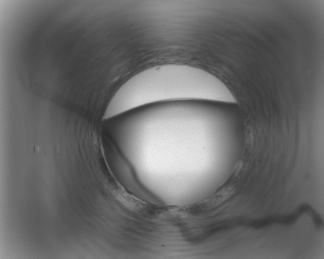 X0000062130568200512090954