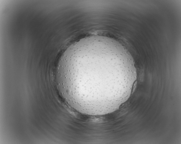 X0000062130569200512090954