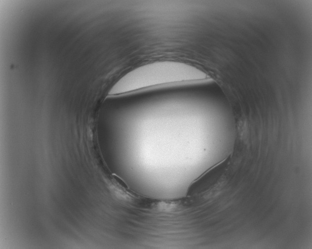 X0000062130570200512090954