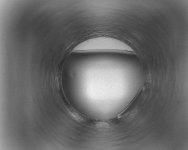 X0000062130572200512090954