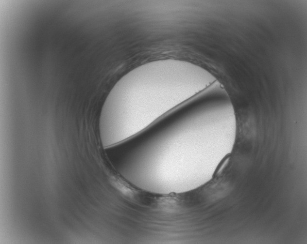 X0000062130574200512090954