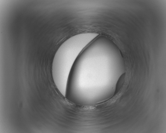 X0000062130576200512090954