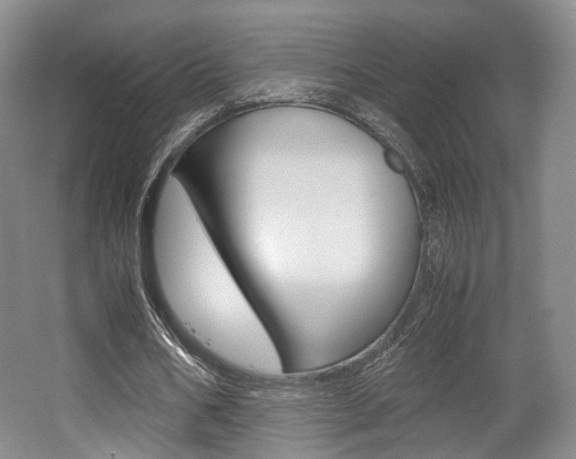 X0000062130578200512090953