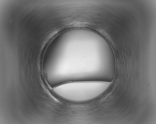 X0000062130581200512090953