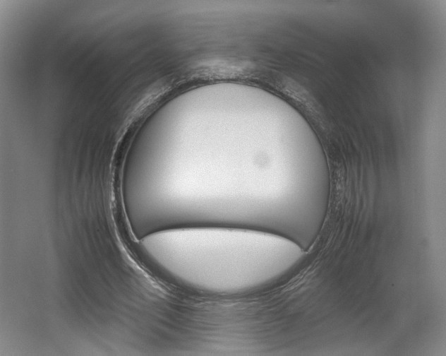 X0000062130582200512090953