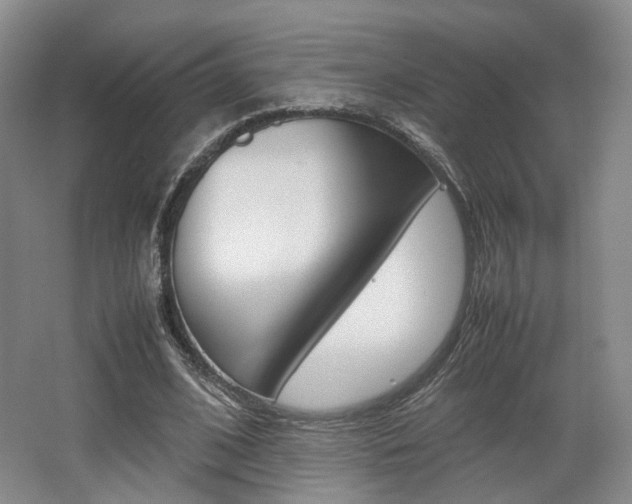 X0000062130584200512090953