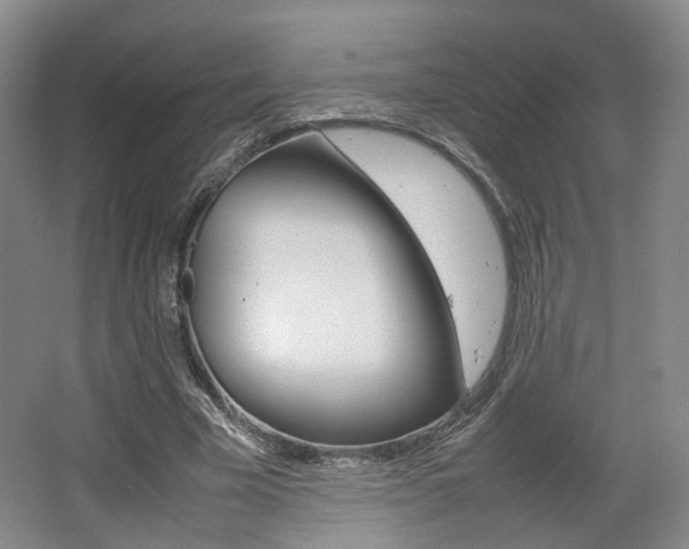 X0000062130585200512090953