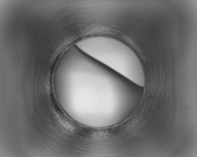 X0000062130586200512090953