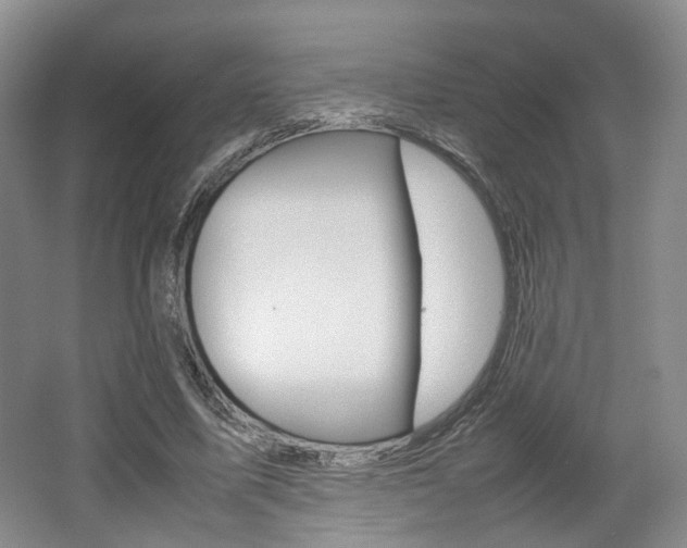X0000062130587200512090953