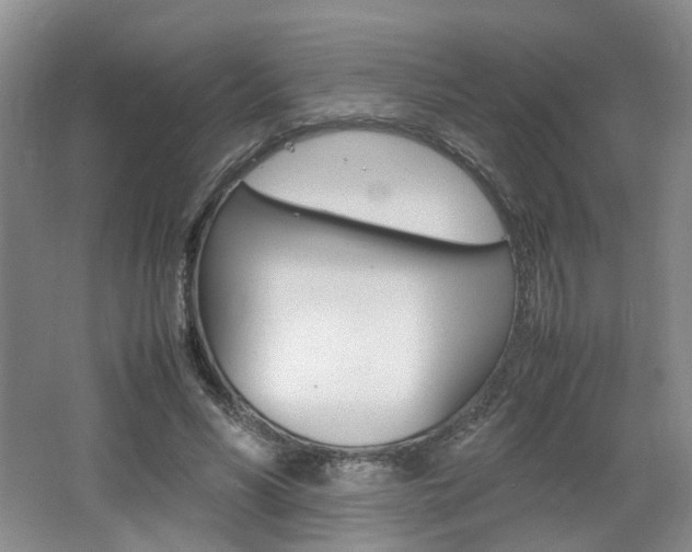 X0000062130590200512090953