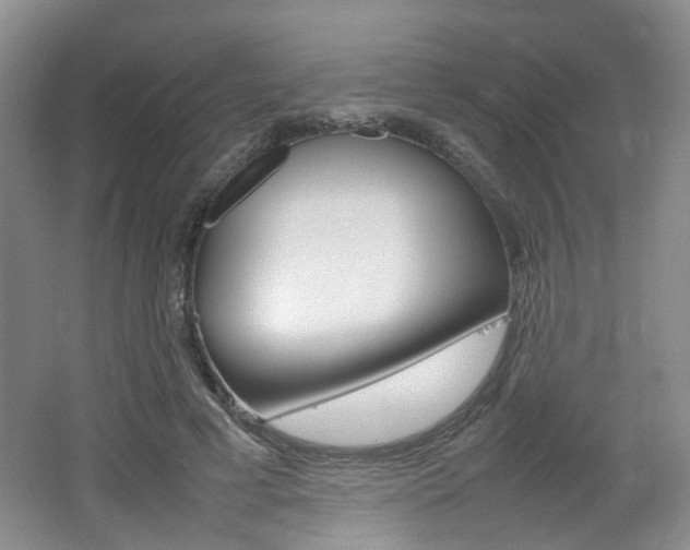 X0000062130593200512090953