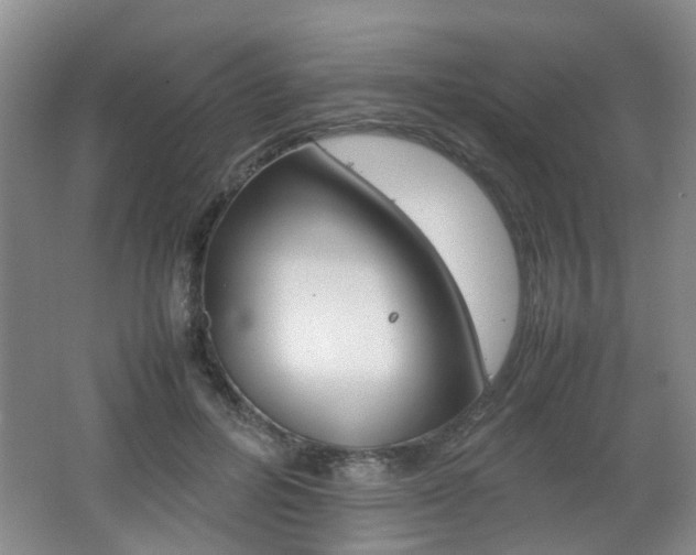 X0000062130600200512090953