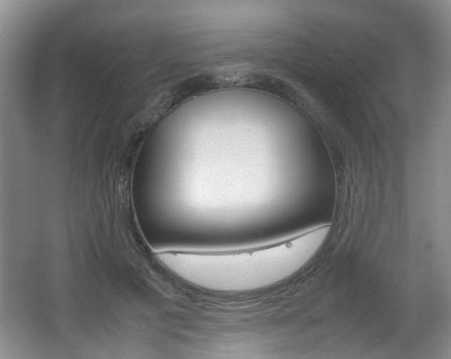 X0000062130601200512090953