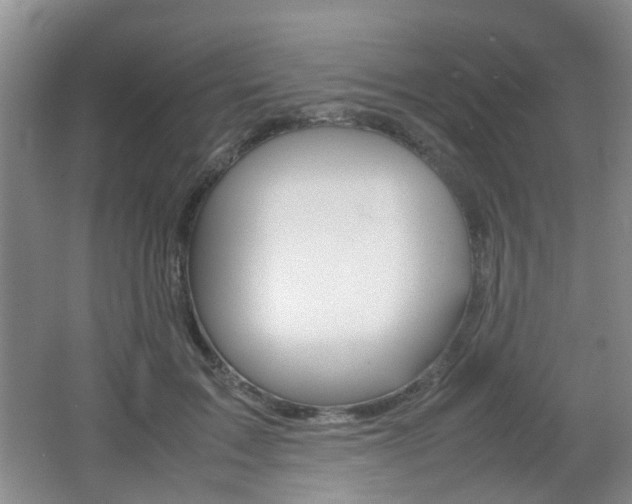X0000062130603200512090953