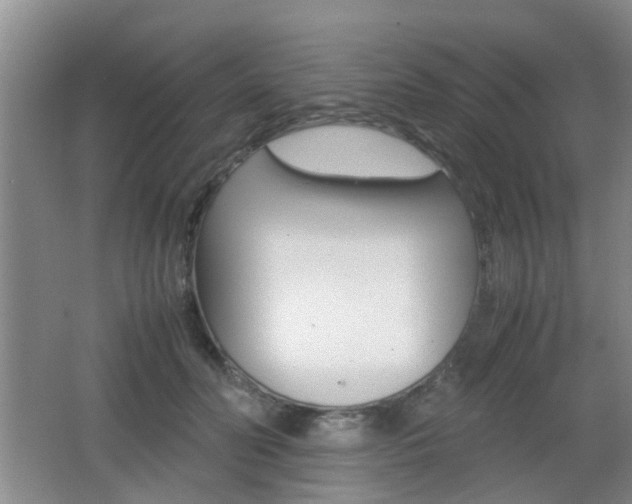 X0000062130606200512090952