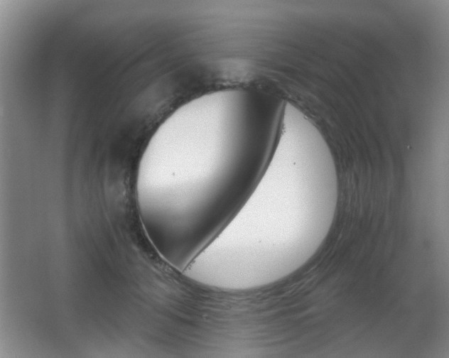 X0000062130608200512090952
