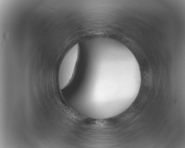 X0000062130612200512090952